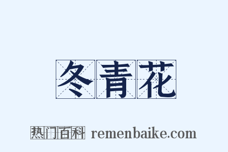 冬青花是什么意思的图片